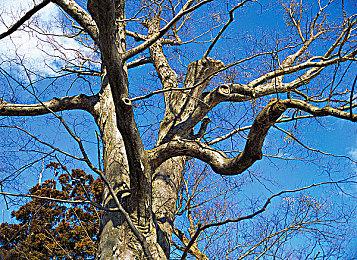 《寂静岭2：重制版》全新截图 大战恐怖三角头